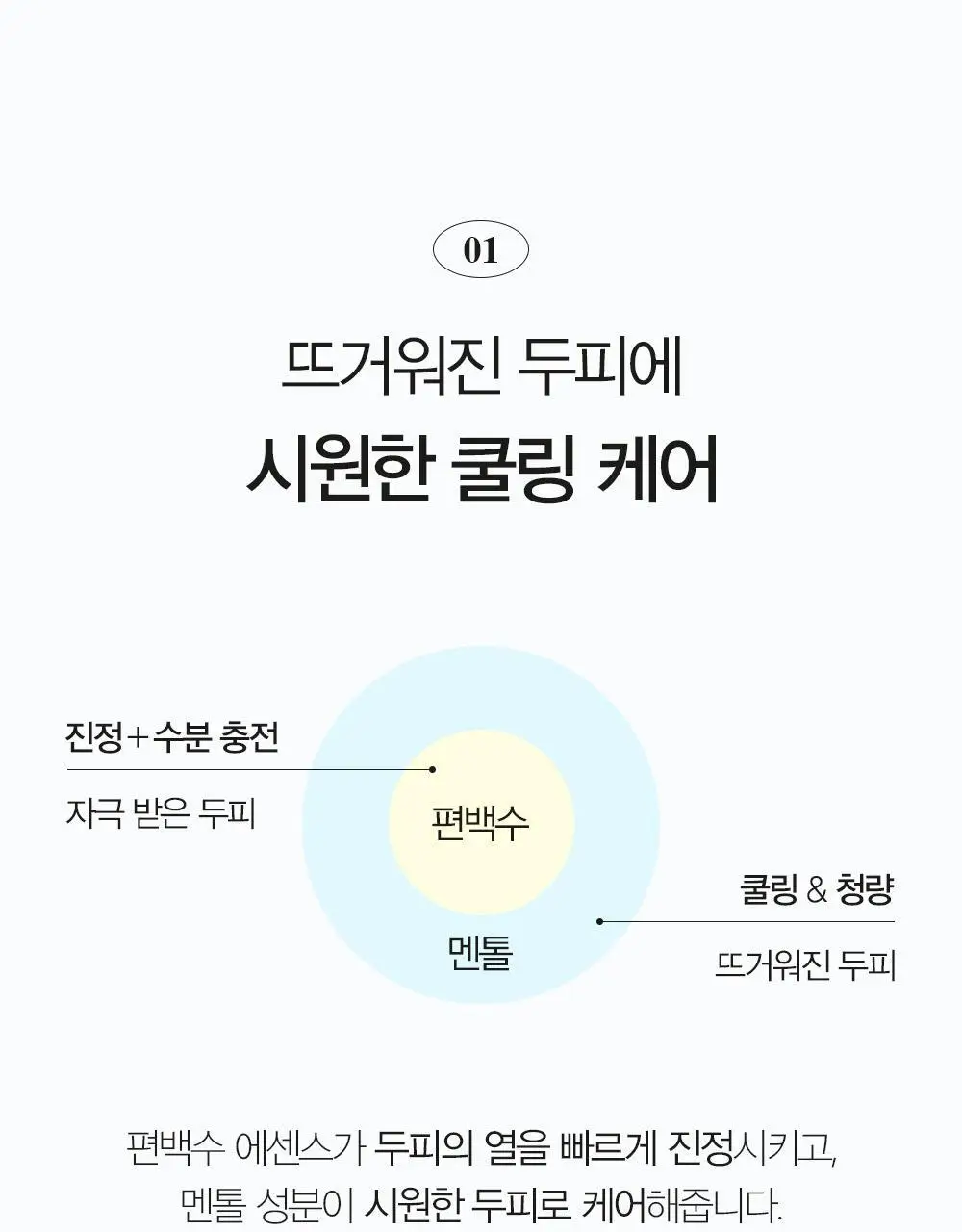 [탈모증상완화/두피열케어] 달리프 클로렐라 베러 루트 쿨링스프레이 100ml 상세페이지 19